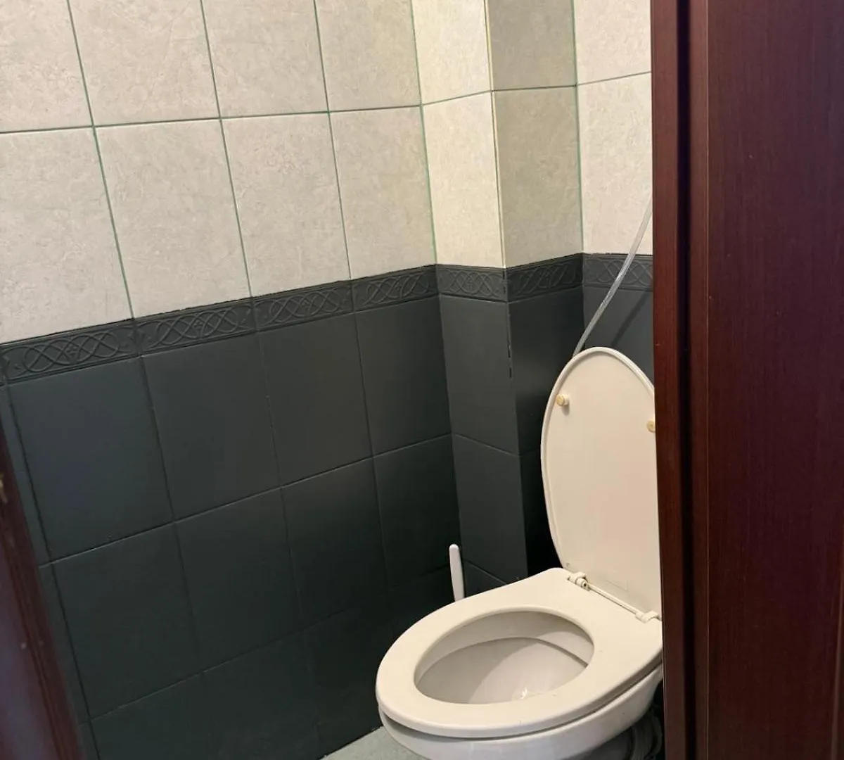 Apartment Olympyska On Velyka Vasylkyvska 45 キエフ